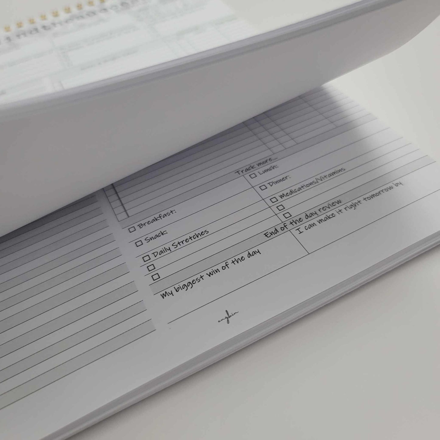 Open undated productivity planner showing daily tracking and review sections